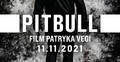 Pitbull