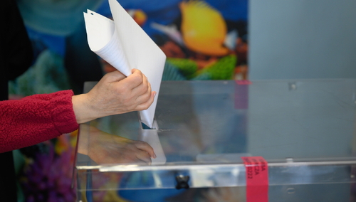 wybory samorządowe 2024