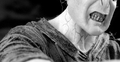 Lord Voldemort