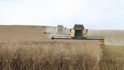 Zdjęcie ilustracyjne