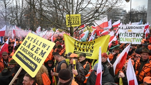 Leśnicy będą protestować w Warszawie. „Destrukcja polskiego sektora leśno-drzewnego”