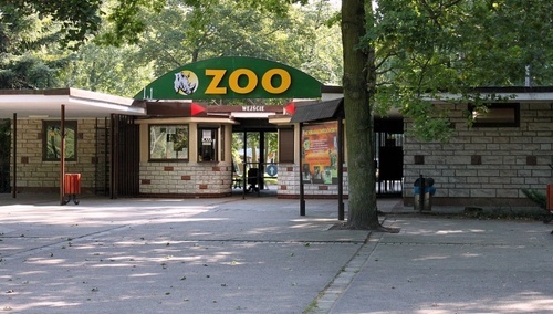 Zoo w Poznaniu