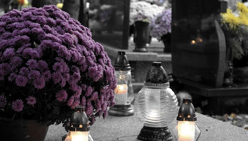 zdjęcie ilustracyjne