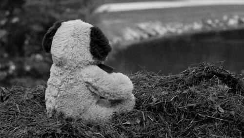 Trwa śledztwo ws. śmierci 6-letniej dziewczynki w szpitalu