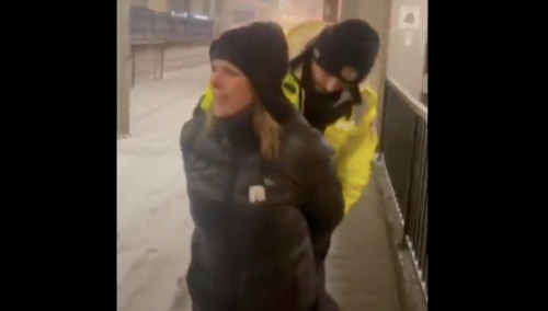 Kanada: Policja aresztowała organizatorów „Konwoju Wolności”. „Są zagrożeniem dla bezpieczeństwa” [WIDEO]