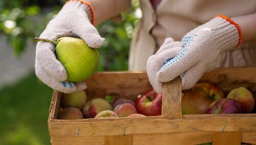 Prace sezonowe bywają męczące w trakcie upałów