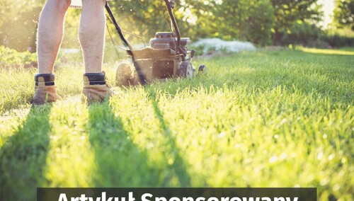 Wydajne wertykulatory do ogrodów - warto stawiać na sprawdzone maszyny ogrodowe