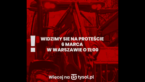 Spot o Zielonym Ładzie