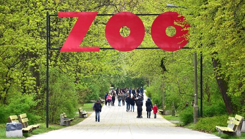 Aleja Kazimierza Lisieckiego „Dziadka” prowadząca do głównego wejścia do ogrodu zoologicznego