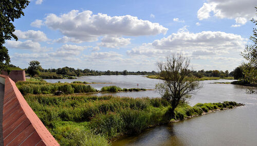 Odra na wysokości Kostrzyna