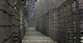 Obóz koncentracyjny Auschwitz 