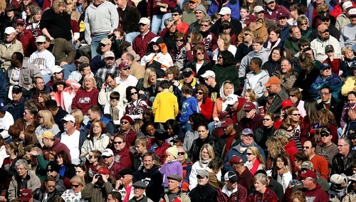 [Tylko u nas] Marcin Bąk: Ilu idiotów jest wśród nas?