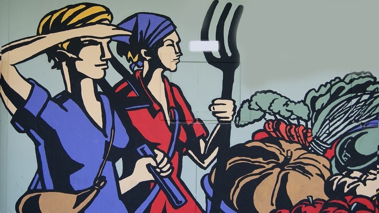 feministki