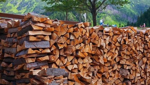 Przez wysokie ceny gazu Holendrzy kupują coraz więcej drewna na opał