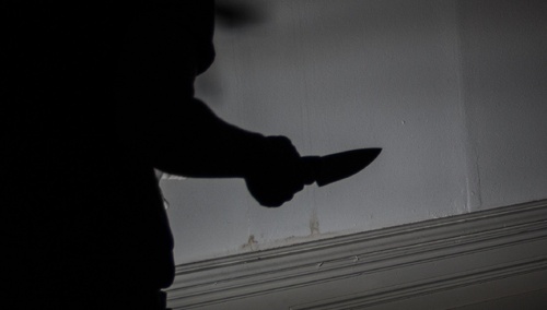 Nożownik, zdjęcie poglądowe