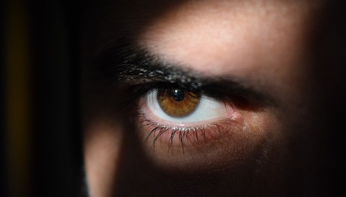 zdjęcie ilustracyjne