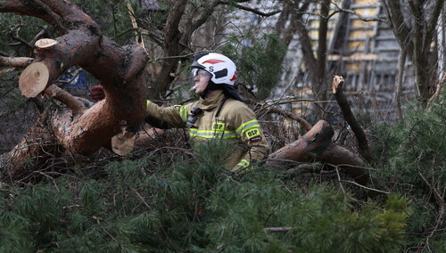 usuwanie skutków wichury 