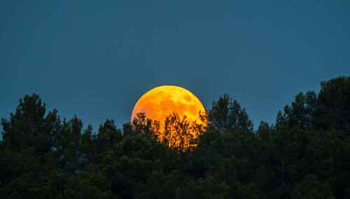 "Czerwony Księżyc"