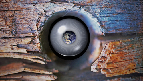 Oko. Ilustracja poglądowa