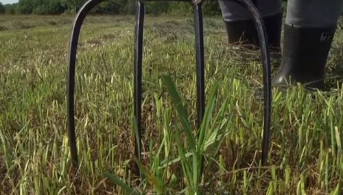 Zdjęcie ilustracyjne