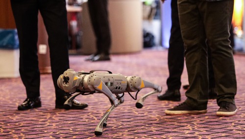 Sztuczna Inteligencja i robotyzacja rozwijają się w oszałamiającym tempie 