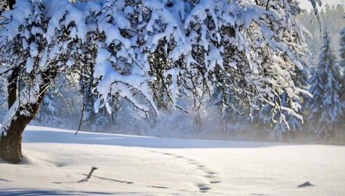 Śnieg / zdjęcie poglądowe