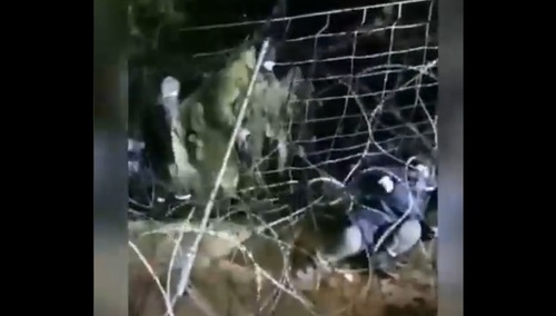 Białoruscy żołnierze spychają imigrantów na płot