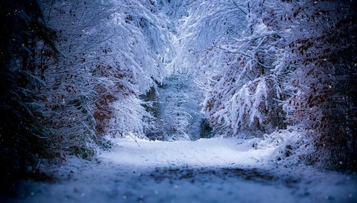 Śnieg / zdjęcie poglądowe