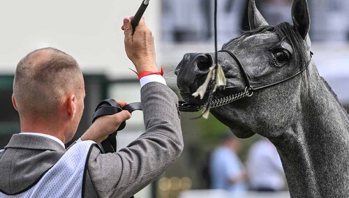 Występ w Janowie Podlaskim