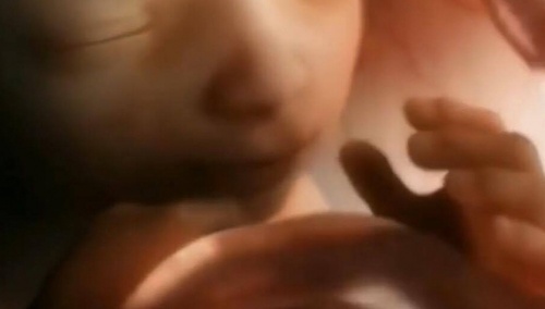 Obrońcy życia aresztowani! Rozdawali róże kobietom, udającym się do centrum aborcyjnego