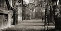 Obóz Auschwitz