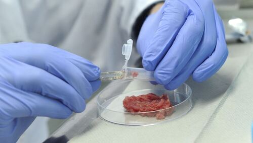 Zdjęcie ilustracyjne