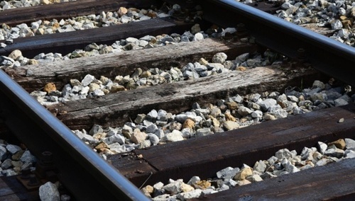 Tory / zdjęcie poglądowe