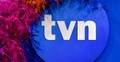 Logo stacji TVN