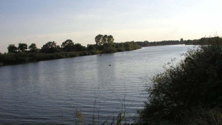 Odra