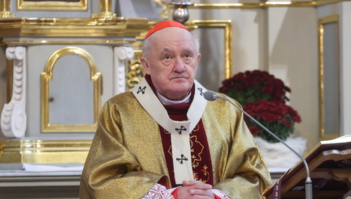 Kard. Kazimierz Nycz