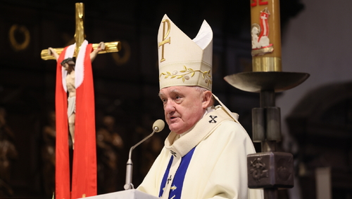 kard. Kazimierz Nycz