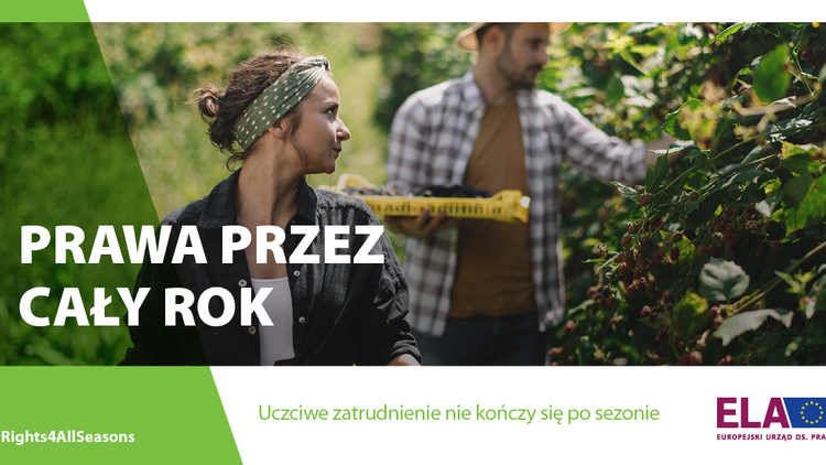 ELA - rozpoczyna kampanię dotyczącą praw pracowników sezonowych