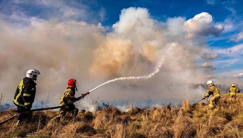 Pożar w Biebrzańskim Parku Narodowym