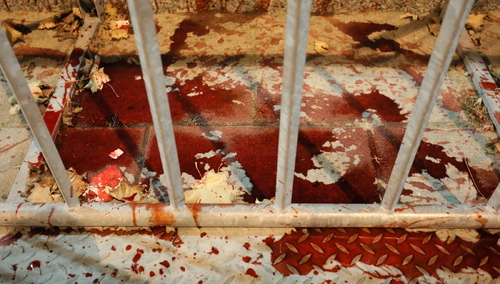 Doszło do nieuprawnionego wtargnięcia na teren Sejmu. Interweniowała Straż Marszałkowska