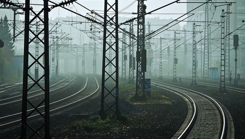 Tory - zdjęcie poglądowe