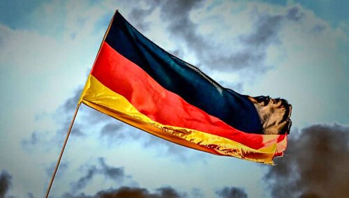 Tapinoma magnum niszcząca niemiecką infrastrukturę