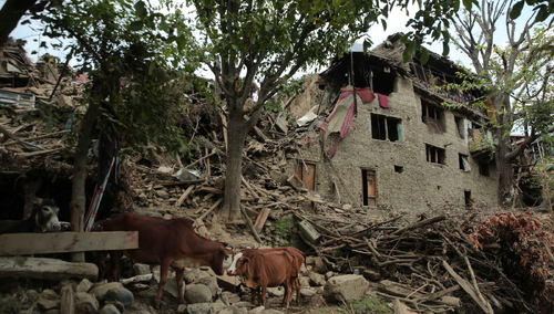 Afganistan, zniszczenia po trzęsieniu ziemi
