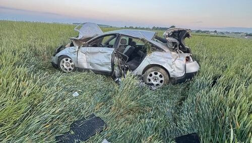 dachowanie pod Kłębowem