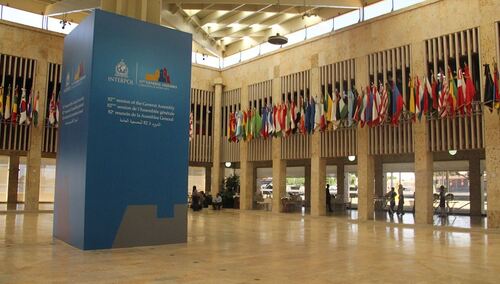 Rosja zostanie wykluczona z Interpolu?