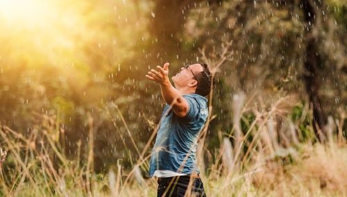 Ewangelia na XVII Niedzielę Zwykłą z komentarzem [video]