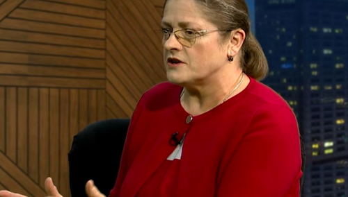 Pawłowicz zszokowana jedną z reklam! "Kłamie i zarzuca Polsce powszechny brud"