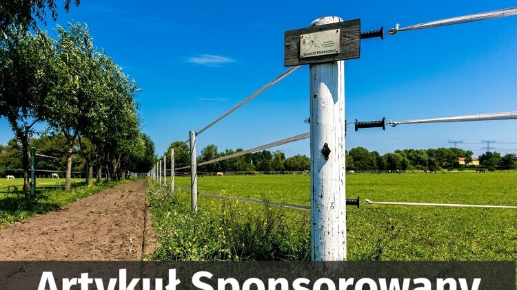 Bramy do ogrodzeń elektrycznych: kompleksowy przewodnik wyboru