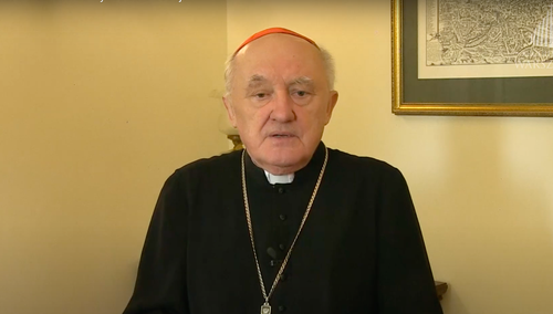 kard. Kazimierz Nycz