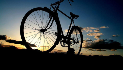 Rower. Ilustracja poglądowa